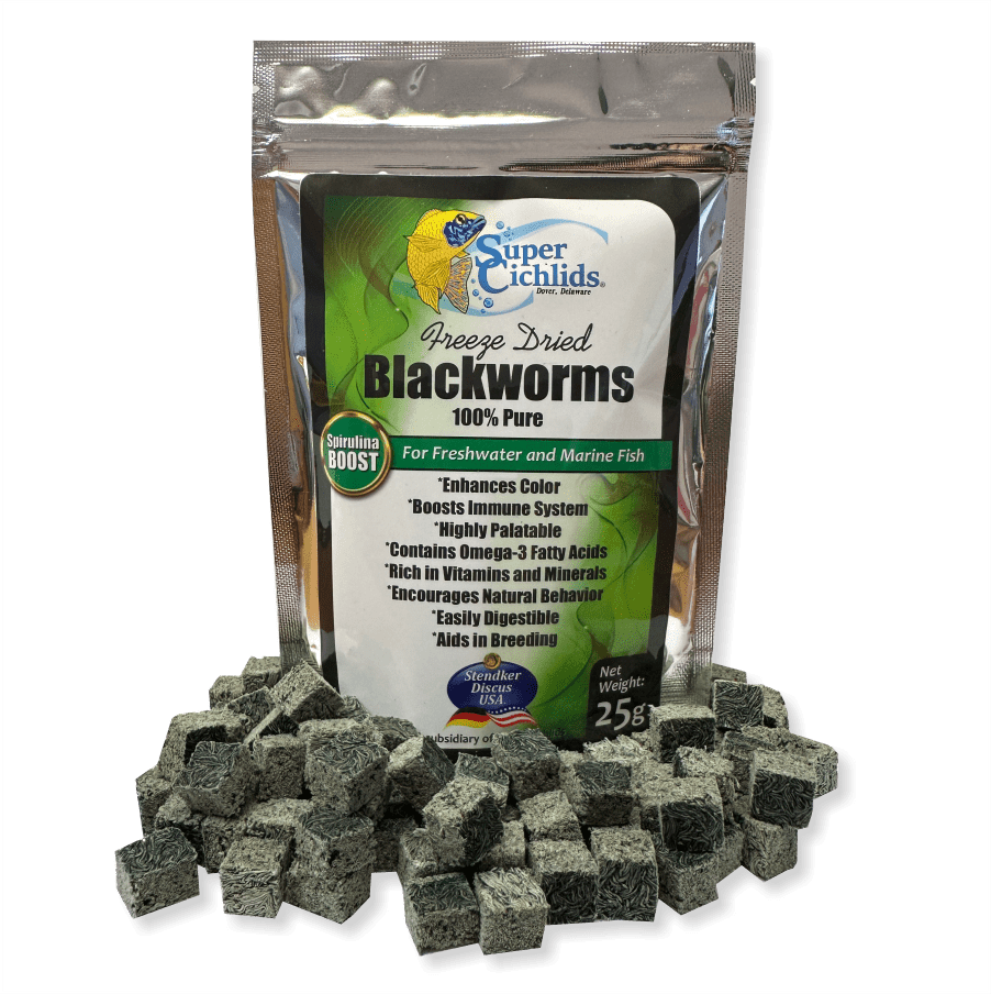 Premium Freeze Dried Blackworms for Aquatic Pets | Super Cichlids Spirulina Boost 197644633760 Super Cichlids